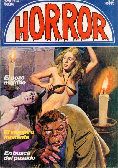 Cover of Issue #29