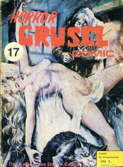Cover of Issue #17