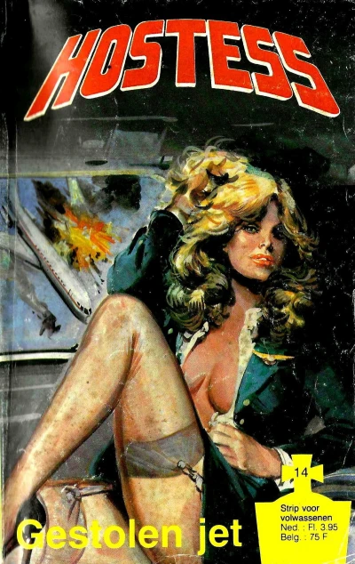 Cover of Gestolen jet