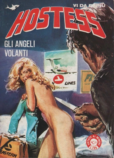 Cover of Gli angeli volanti