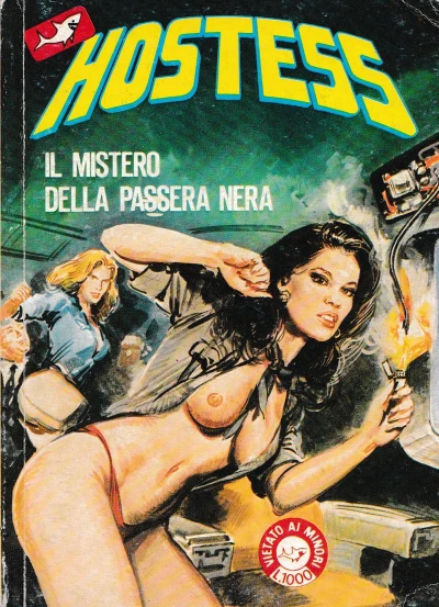 Cover of Il mistero della passera nera