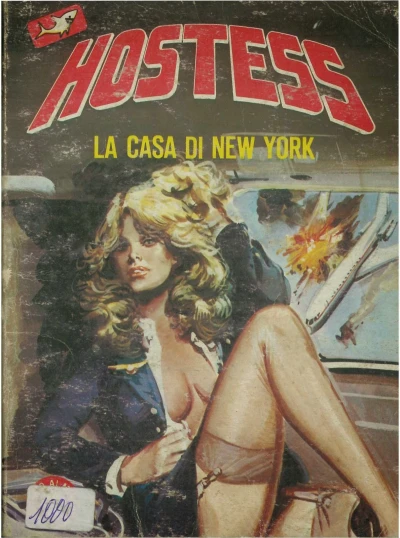 Cover of La casa di New York