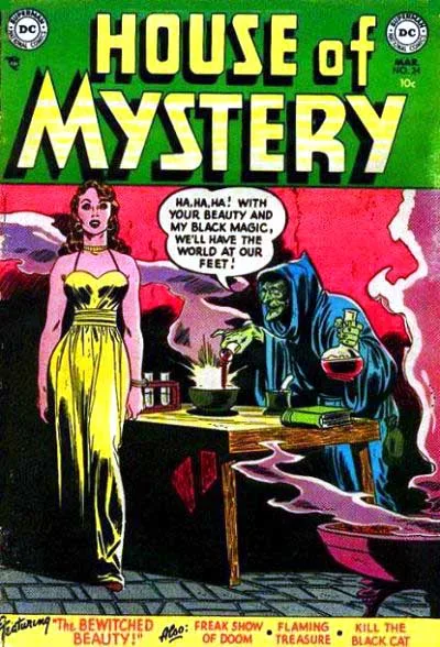 Cover of The Bewitched Beauty