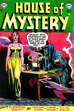 The Bewitched Beauty