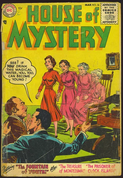 Cover of The Fountain of Youth