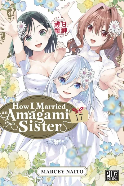 Cover of Issue #17