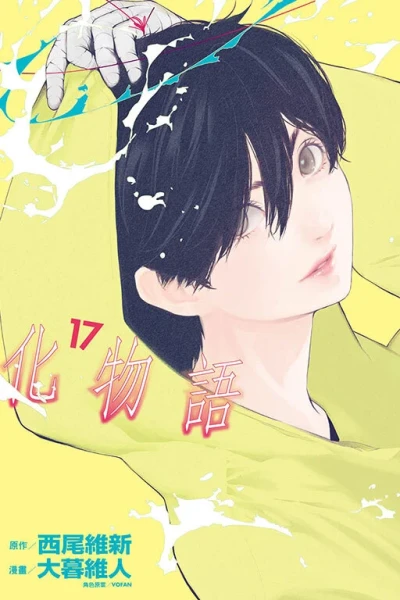 Cover of Vol. 17