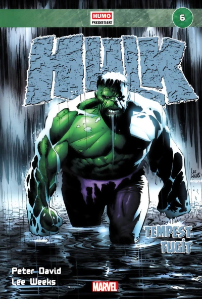 Cover of Hulk