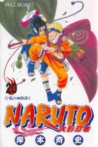 Vol. 20