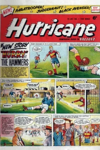 Issue #19640704