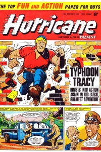 Issue #19641219