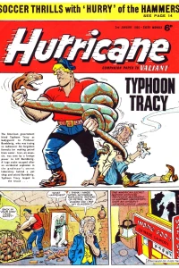 Issue #19650102