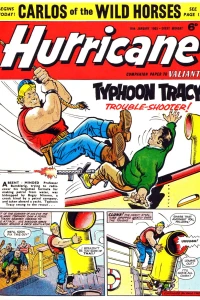 Issue #19650116