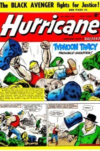 Issue #19650306