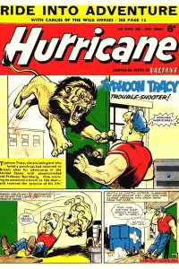Issue #19650313