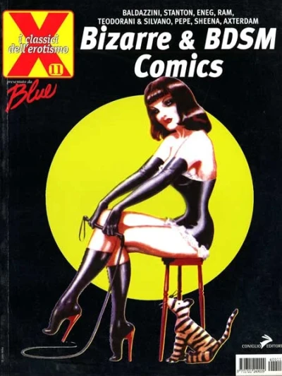 Cover of Bizarre & BDSM Comics