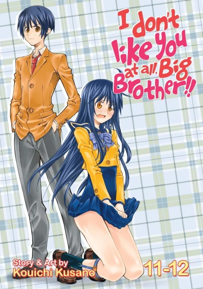 Cover of Siblings and Endings