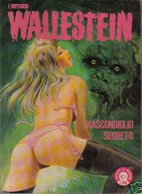 Cover of Nascondiglio Segreto