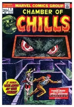 Cover of I Was...The Man in the Maze!