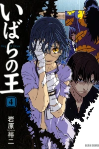 Volume 4