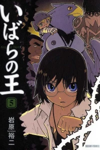 Volume 5