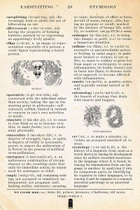 The Etymologist Rises