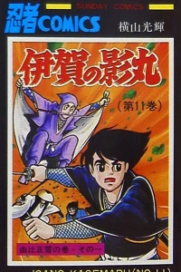 Vol. 11
