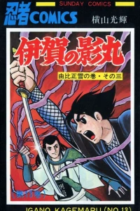 Vol. 13