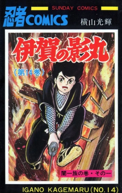 Cover of Vol. 14