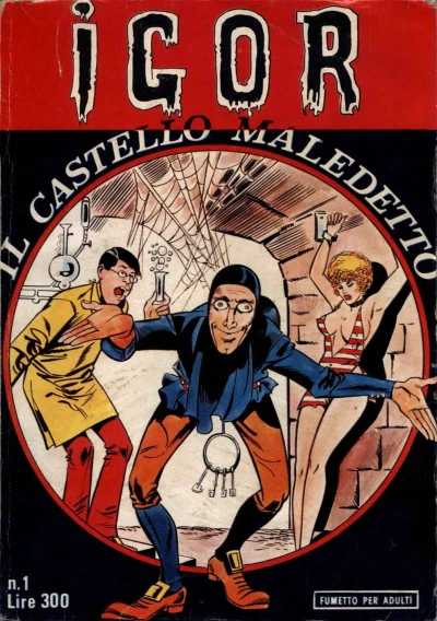 Cover of Il castello maledetto