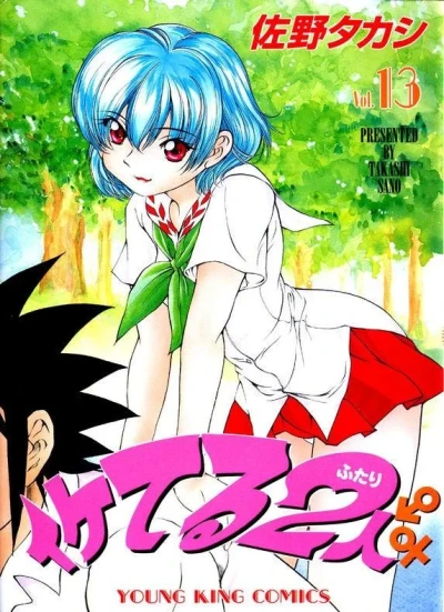 Cover of Vol. 13