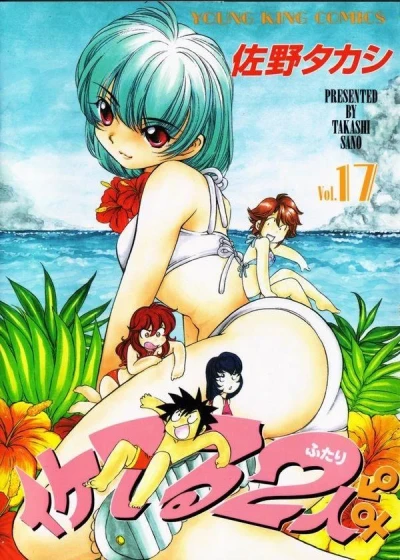 Cover of Vol. 17