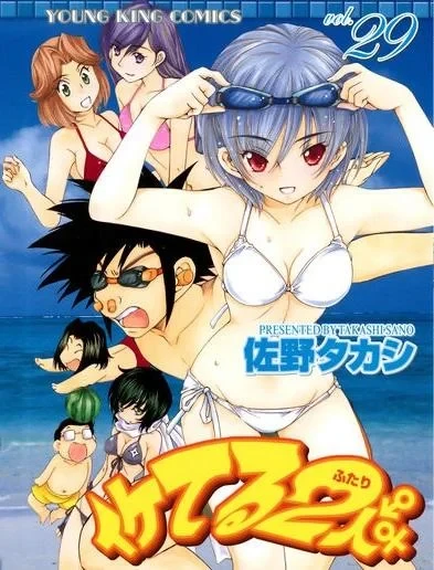 Cover of Vol. 29