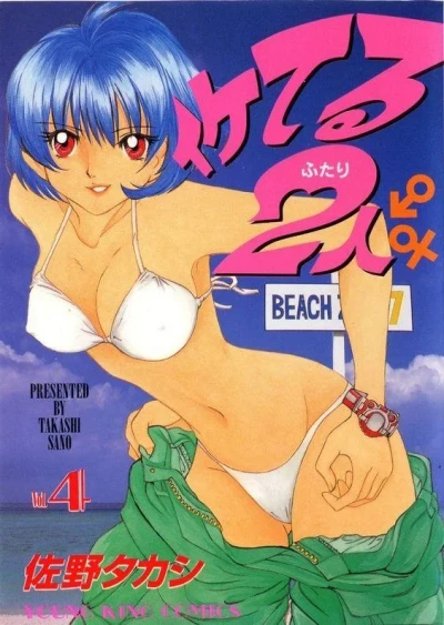 Cover of Vol. 4