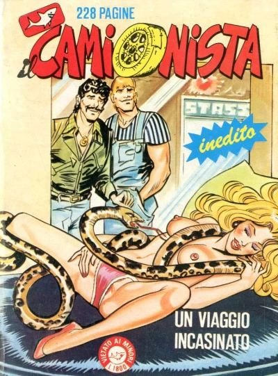 Cover of Un viaggio incasinato