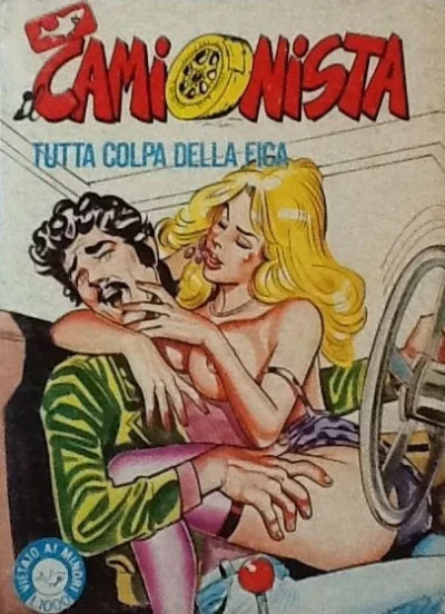 Cover of Tutta colpa della figa