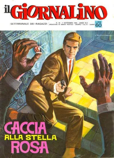 Cover of Caccia alla stella Rosa