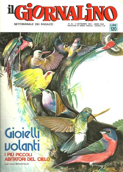 Cover of Gioielli volanti