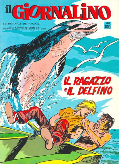 Cover of Il ragazzo e il delfino