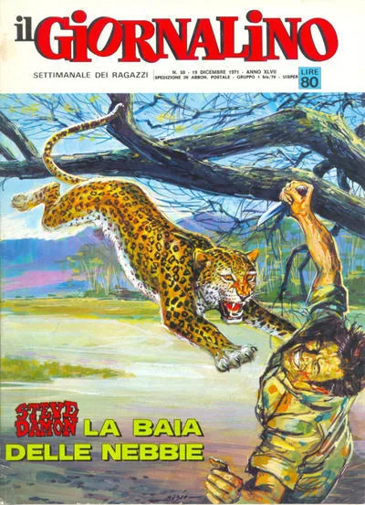 Cover of La baia delle nebbie