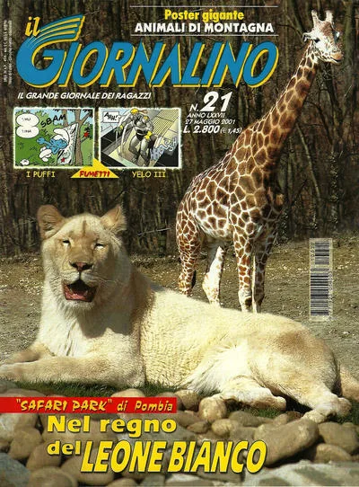 Cover of Nel regno del Leone Bianco
