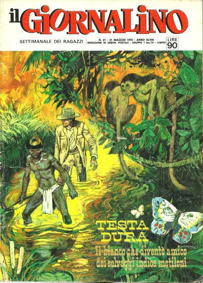Cover of Testa Dura