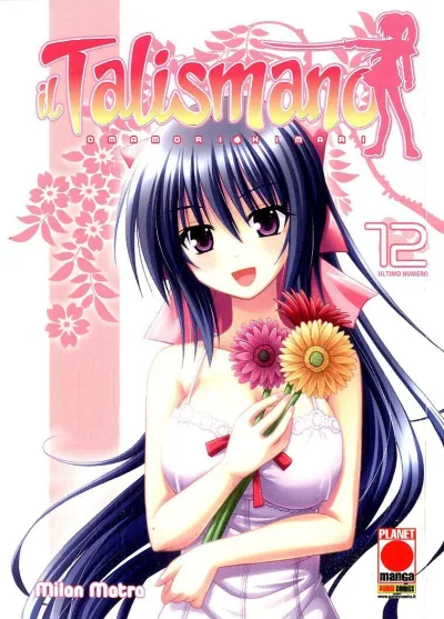 Cover of Il talismano 12