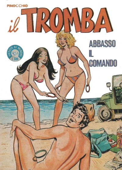 Cover of Abbasso il comando
