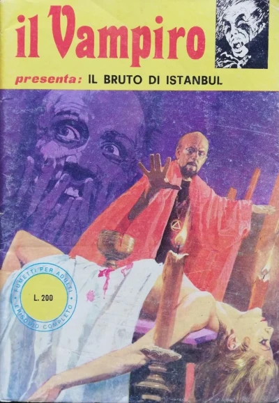 Cover of Il bruto di istanbul