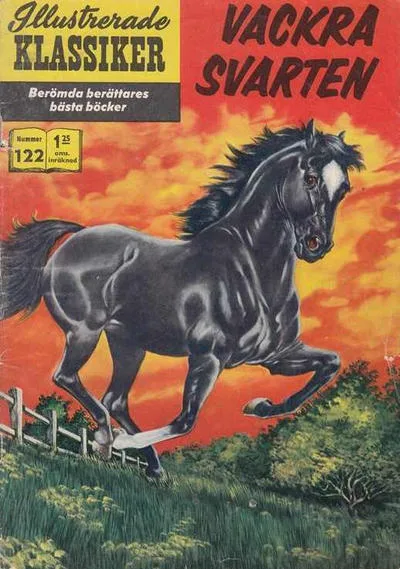 Cover of Vackra Svarten
