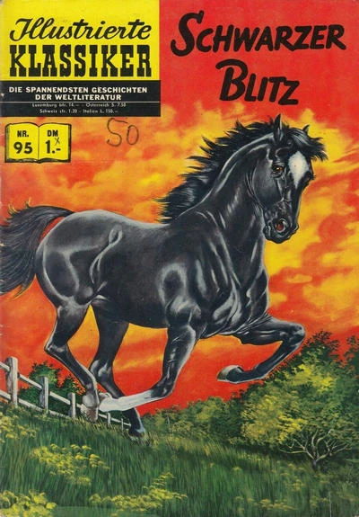 Cover of Schwarzer Blitz