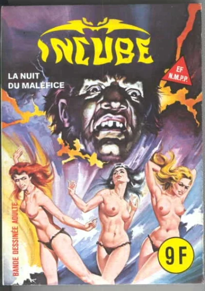 Cover of LA NUIT DU MALÉFICE
