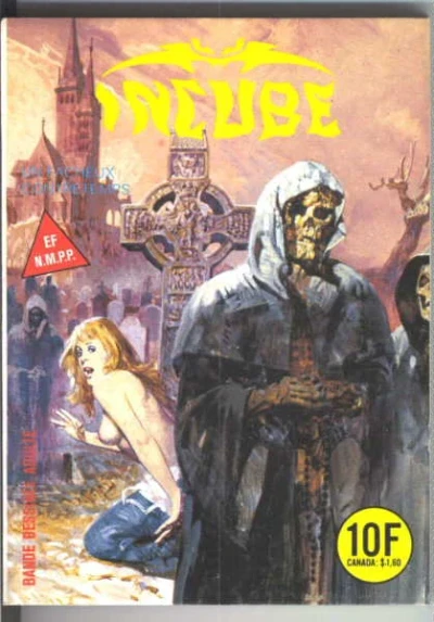 Cover of UN FACHEUX CONTRETEMPS