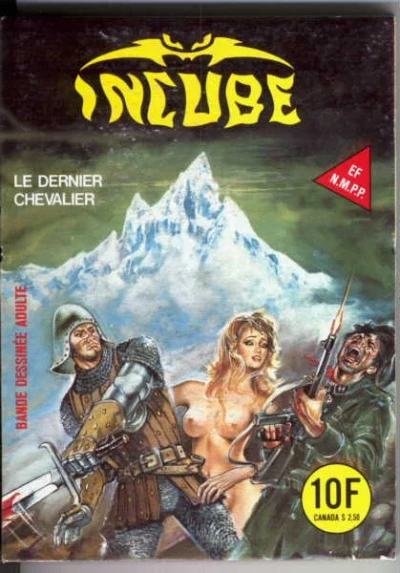Cover of LE DERNIER CHEVALIER